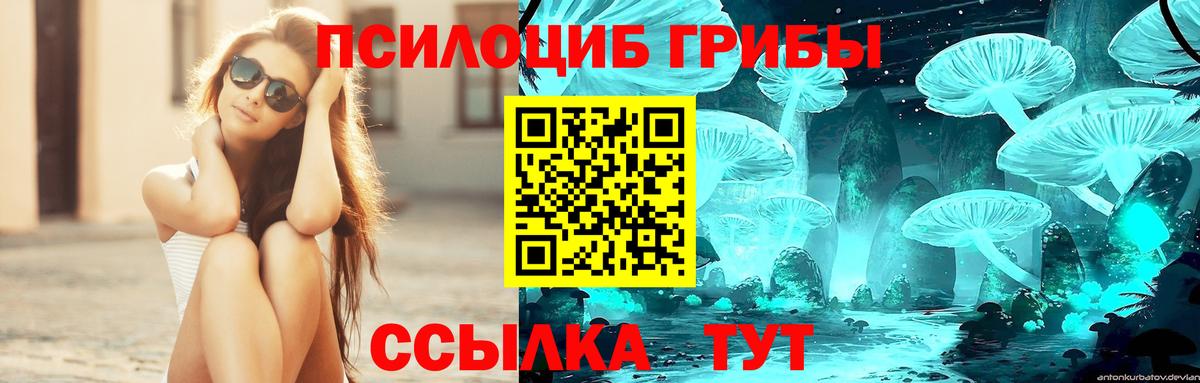 Галлюциногенные грибы прущие грибы  Галлюциногенные грибы мухоморы  Вход с VPN  Альметьевск 